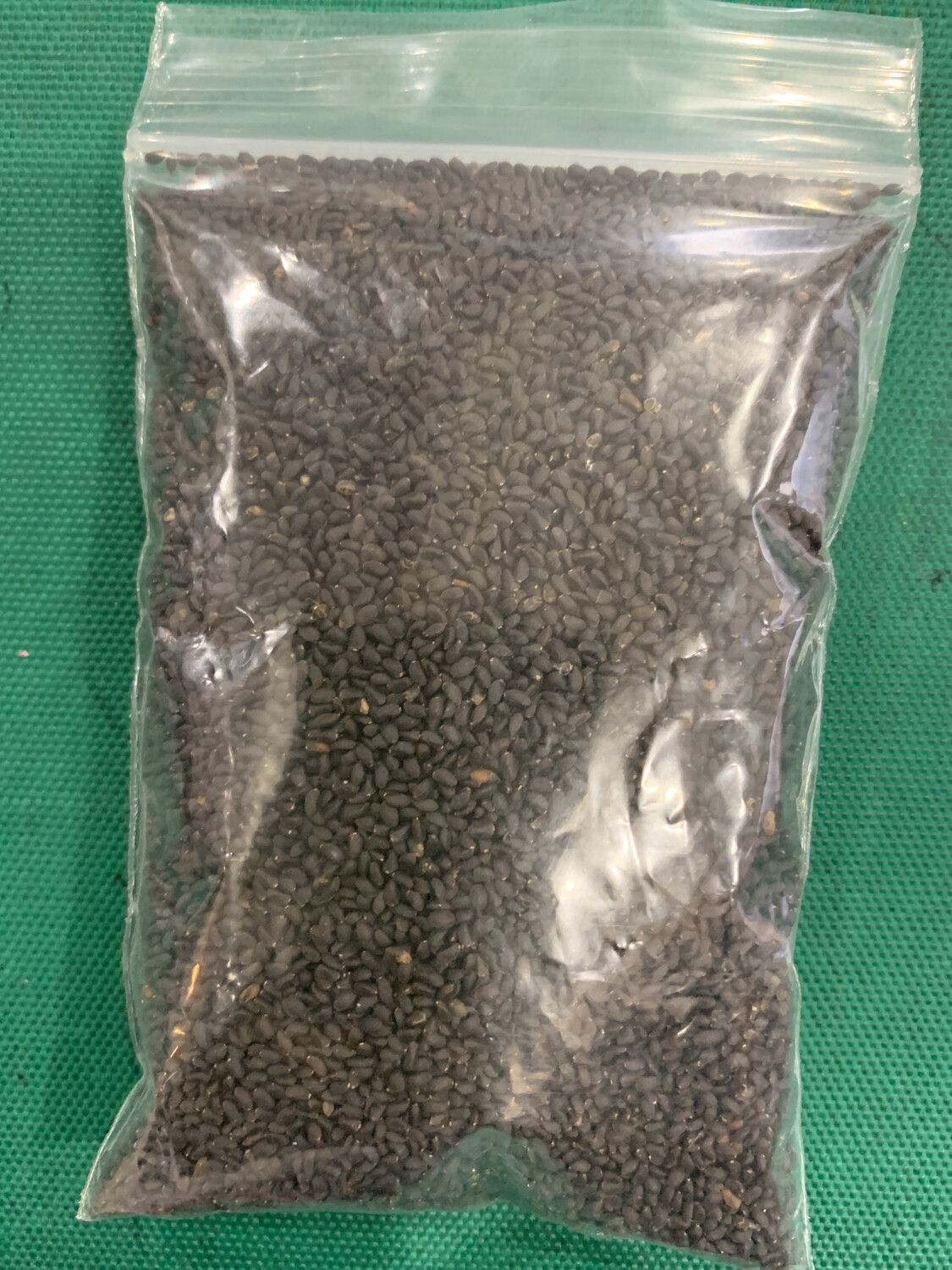 Basil Seed / Tokma  Langa / Kasa Kasa 50g
