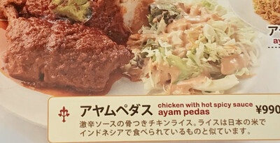 Ayam Pedas / Chicken With Very Hot Sauce
