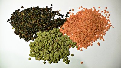 Lentils / Pulses / Dal / Kacang
