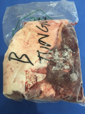 Fresh Beef toung