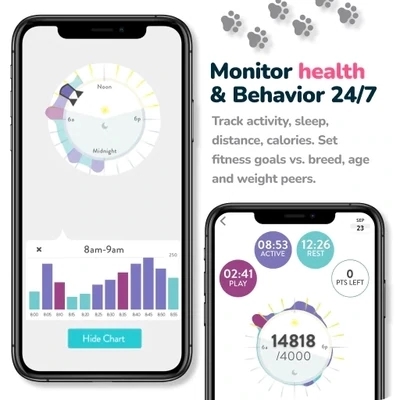 FitBark 2: Worldwide Dog Health Monitor