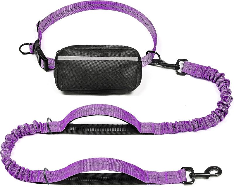 Hands Free Dog Leash with Removable Treat Pouch