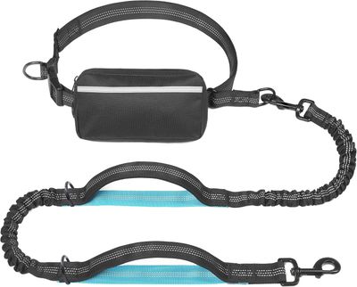 Hands Free Dog Leash with Removable Treat Pouch