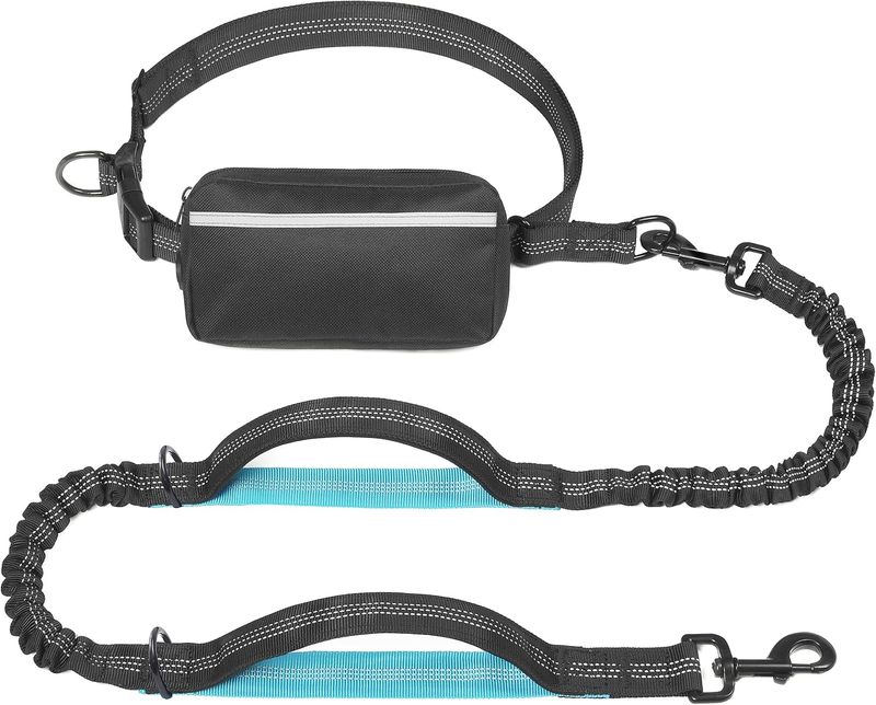 Hands Free Dog Leash with Removable Treat Pouch