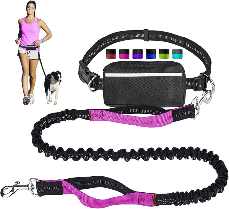Hands-free dog leash with adjustable waist belt, dual handles, and detachable pouch for walking or running