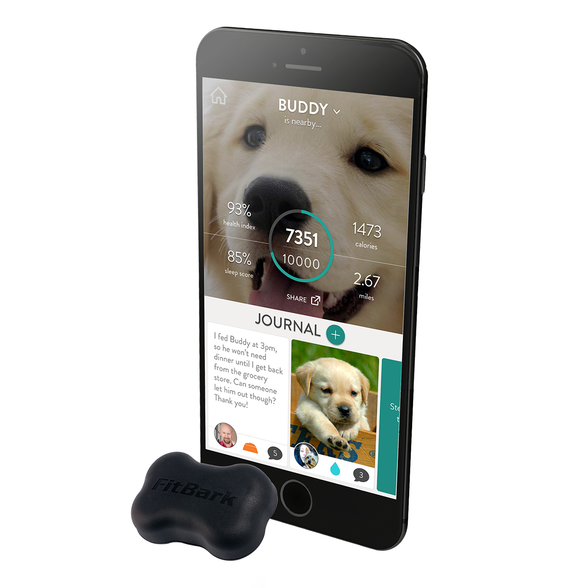 FitBark 2 Dog Health Monitor & Activity Tracker — No Monthly Fee