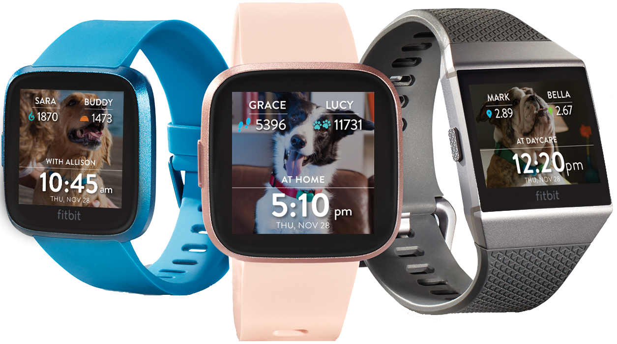 FitBark GPS 2nd Generation – Dog Health & Location Tracker for Family Dogs