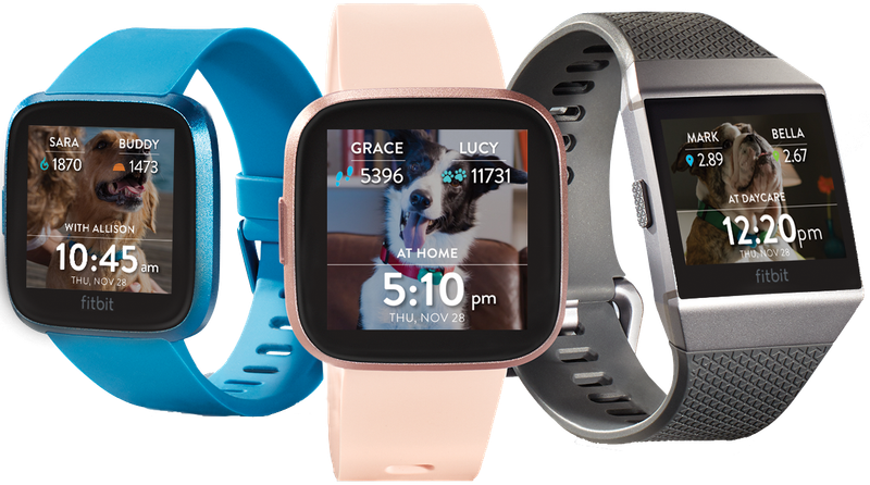 FitBark GPS 2nd Generation – Dog Health & Location Tracker for Family Dogs