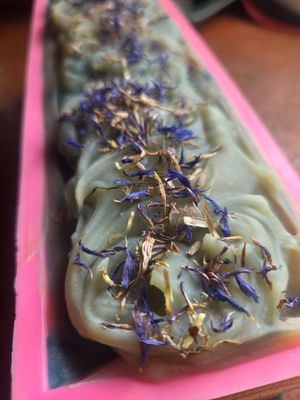 Soap, Agave (fresh succulent scent)