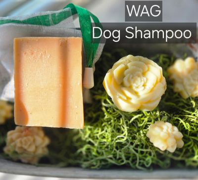 Dog Shampoo, WAG Bar - Solid shampoo bar