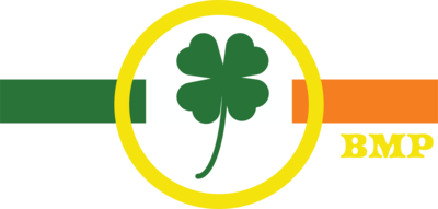 ST. PATRICK&#39;S DAY HATS
