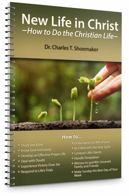 New Life in Christ: How to Do the Christian Life