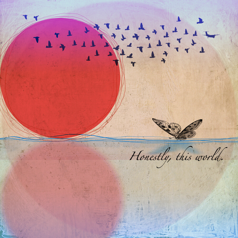 The Moth & The Mirror - Honestly, This World (CD)