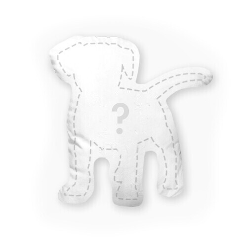 客製 滿版 印花 形狀 抱枕 不可拆 形體 枕頭 充棉吊飾