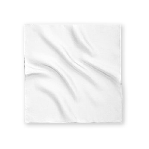 客製 滿版 印花 亮面 便當 寵物巾