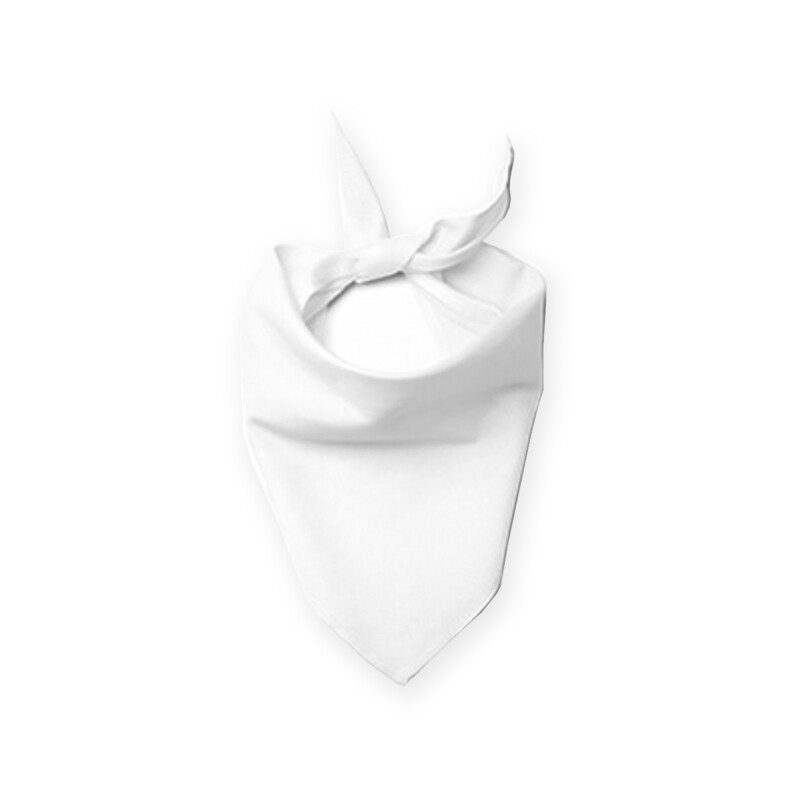 客製 滿版 印花 寵物 三角 領巾 (三條一組)