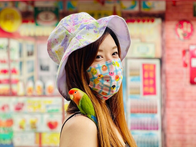 現貨 滿版 印花 格子 小Q鳥 醫療 口罩 (10入) Grid little Q-bird mask