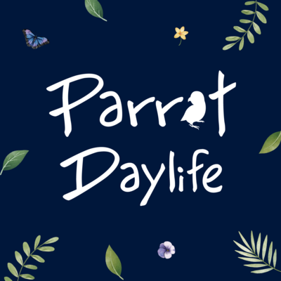 (活動結束) 鸚味日誌  ParrotDaylife