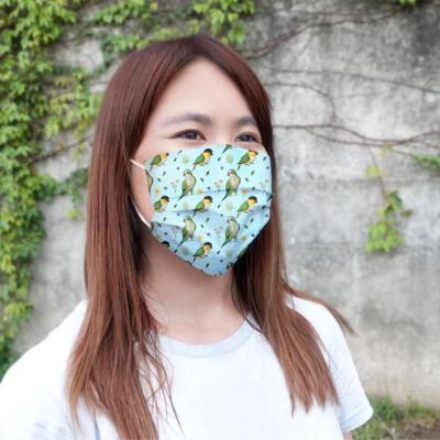 現貨 鸚味日誌 黑頭凱克和尚款  醫療 口罩 (10入)   Black-Headed Caique &amp; Monk Parakeet mask