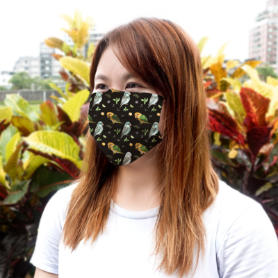現貨 鸚味日誌 金頭凱克太平洋 醫療 口罩 (10入) Black-Headed Caique &amp; Monk Parakeet mask