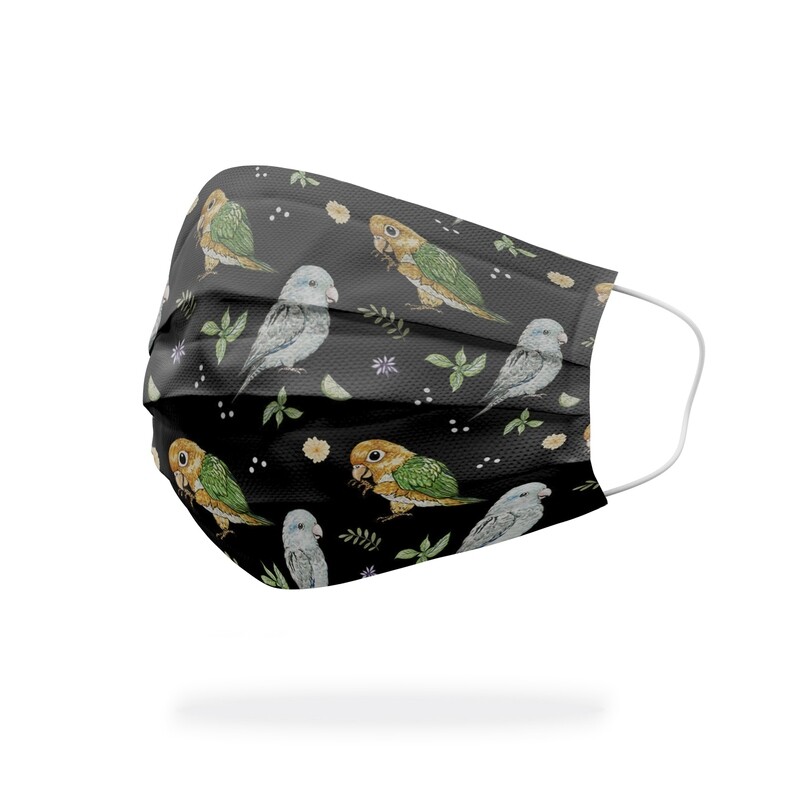 現貨 鸚味日誌 金頭凱克太平洋 醫療 口罩 (10入) Black-Headed Caique &amp; Monk Parakeet mask