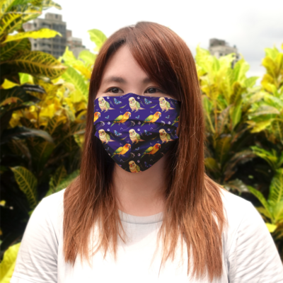 現貨 鸚味日誌 金太陽 小太陽 醫療 口罩 (10入) Black-Headed Caique &amp; Monk Parakeet mask