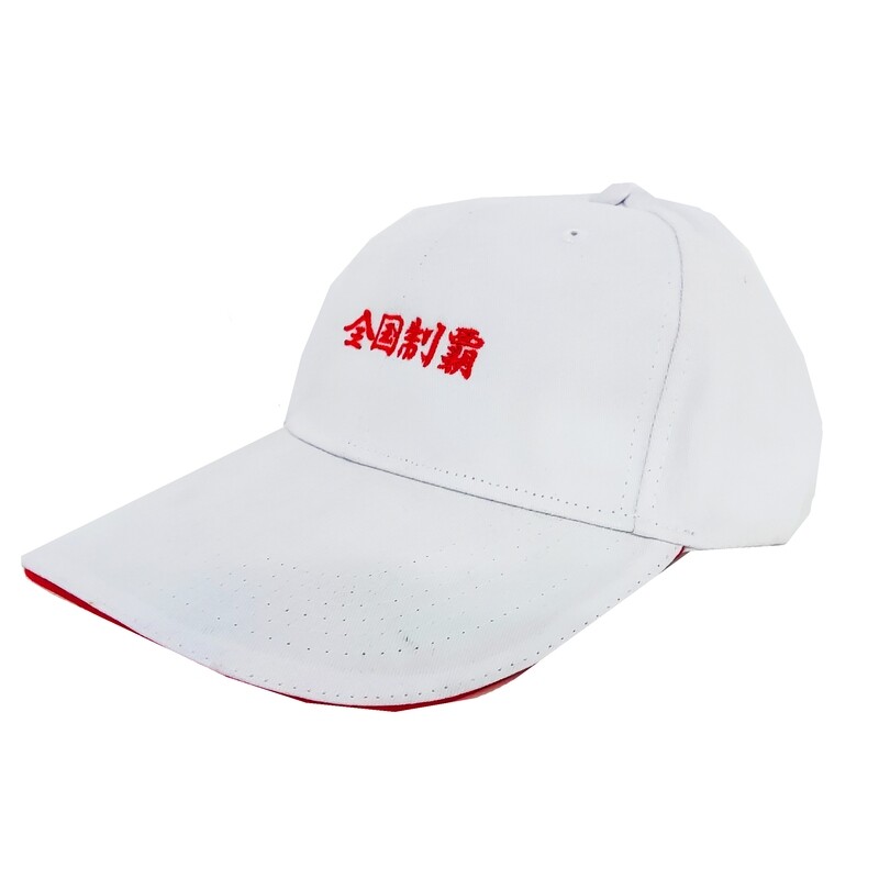 現貨 刺繡 全國制霸 磨毛夾心棒球帽