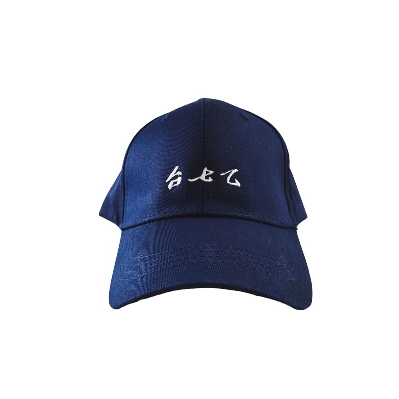 台七乙 藏青色 致敬 山道猴子