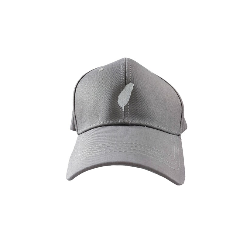 台灣 Logo 灰色 帽子