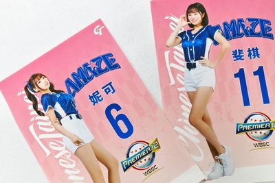 2024 Premier 12紀念簽名用布幔 妡0
