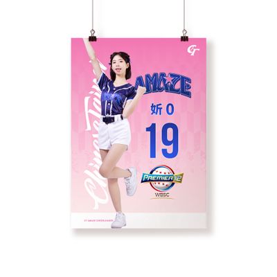 2024 Premier 12紀念簽名用布幔 妡0