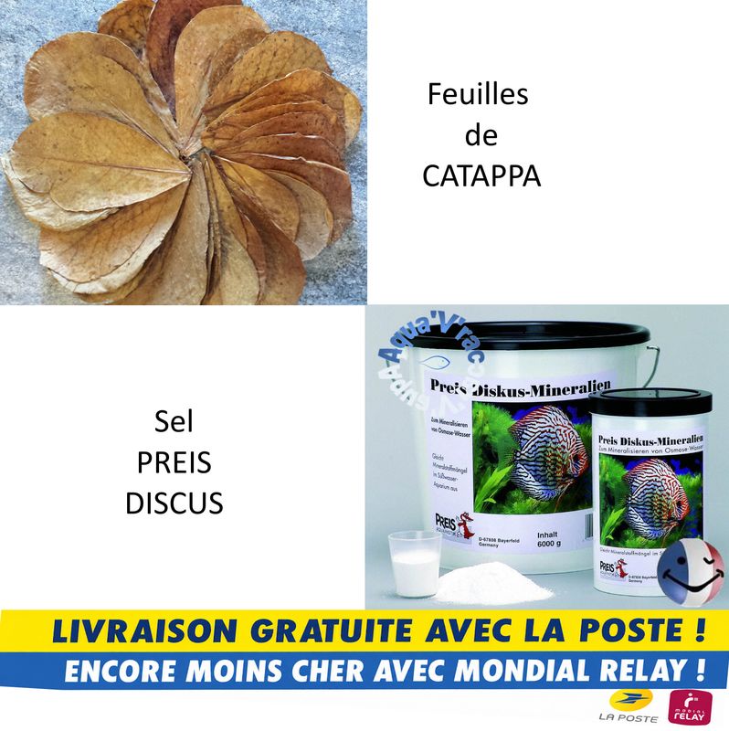 Traitements de l'eau
