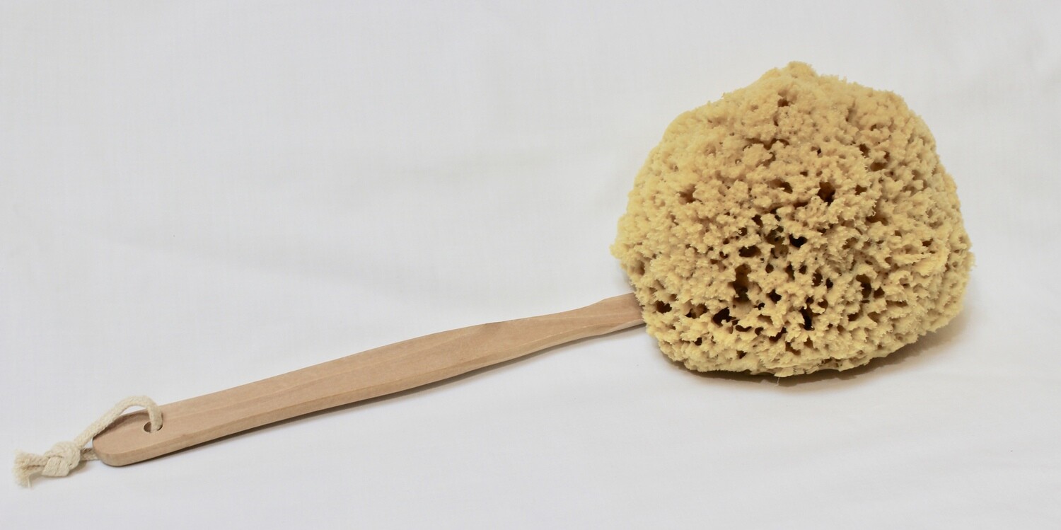 Yellow Sponge on a Stick