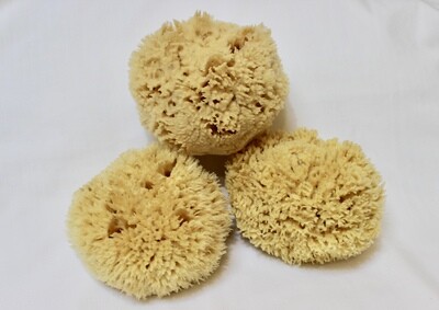 Wool Forms
