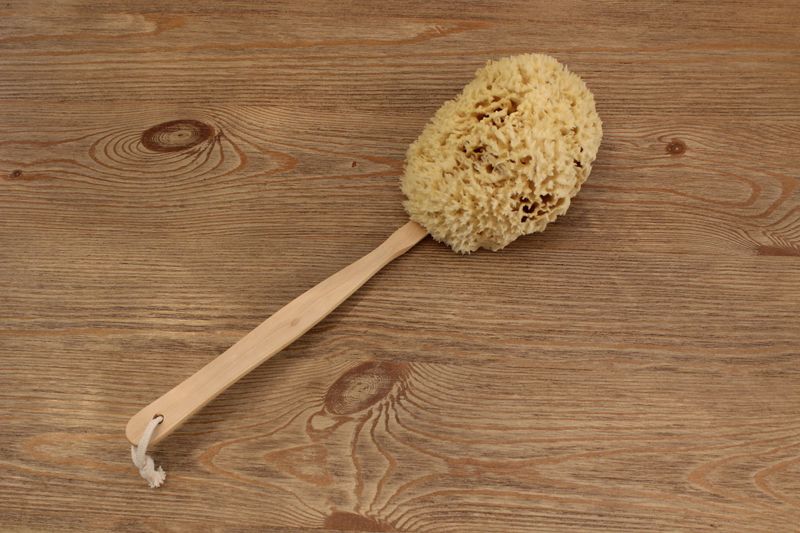 Wool Sponge on a Stick