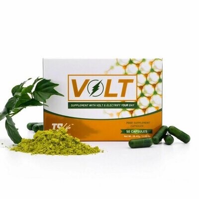 Volt
