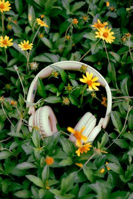 Downloadable Hypnosis Audios