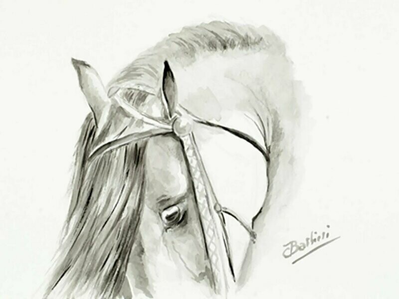 Acuarela Taurina5