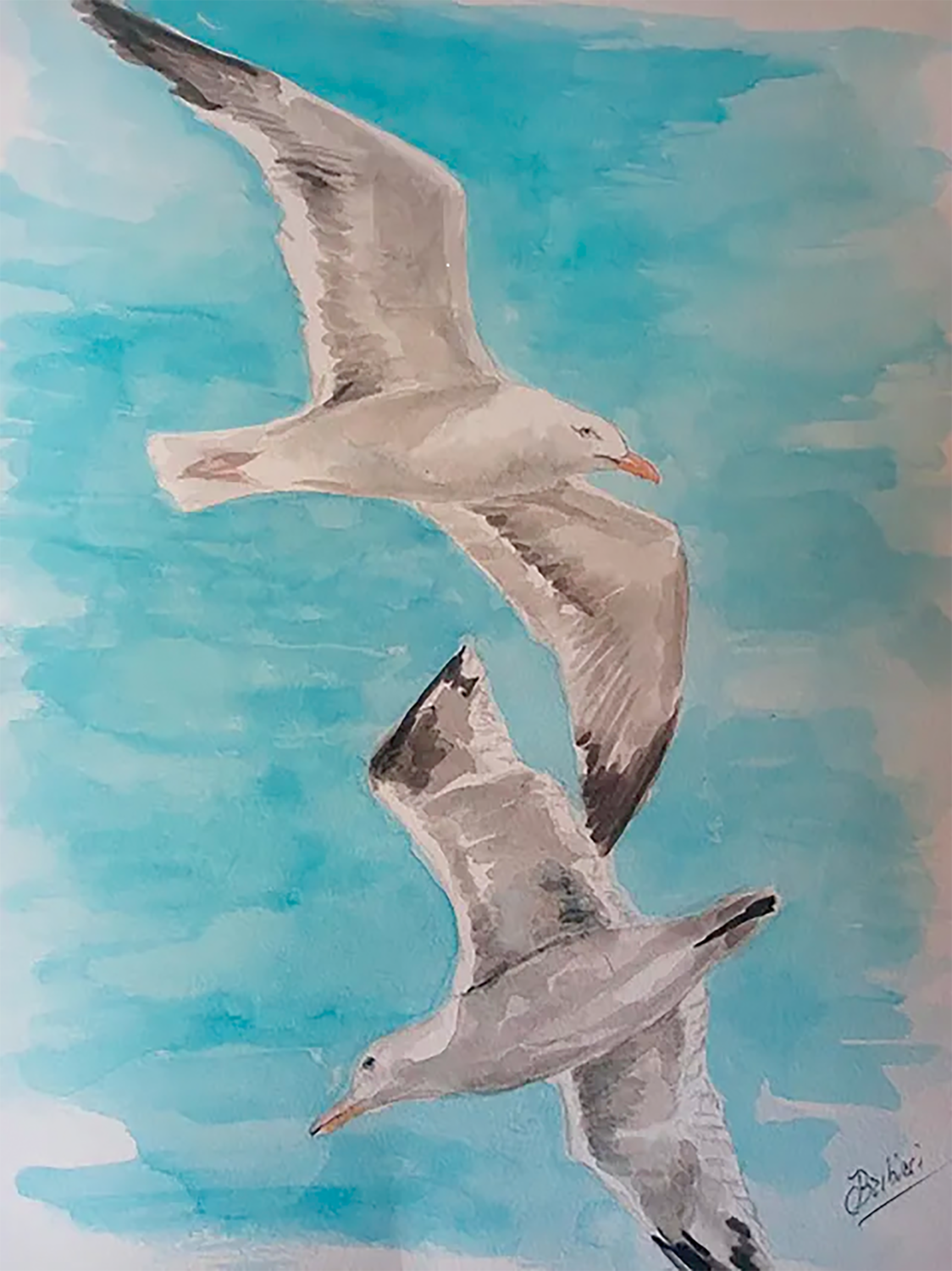 Vuelo de Gaviotas