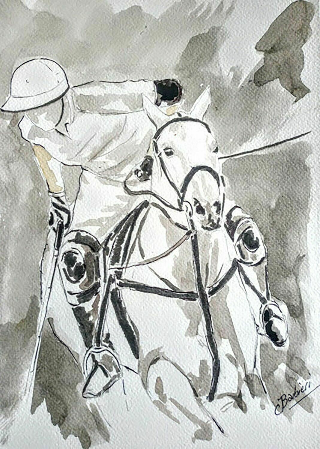 Polo2
