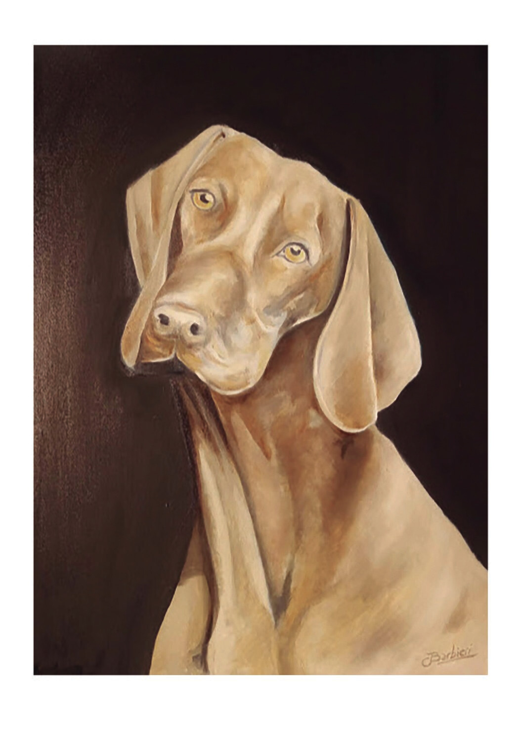 Perro
