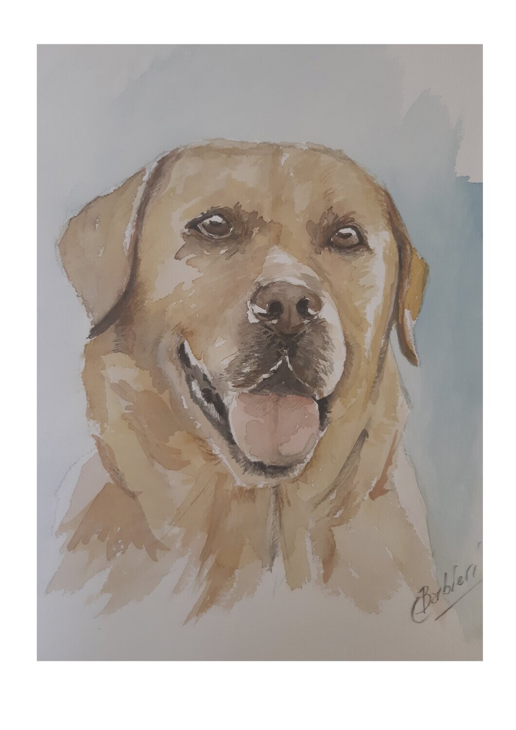 Perro 5