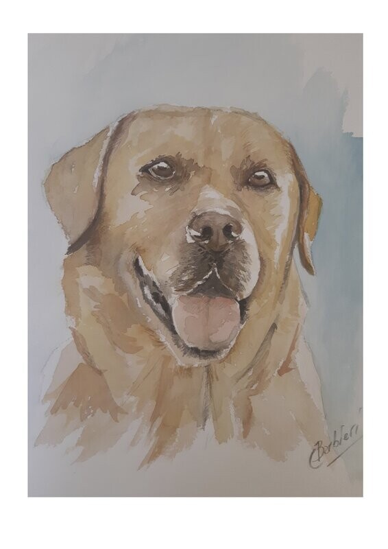 Perro 5