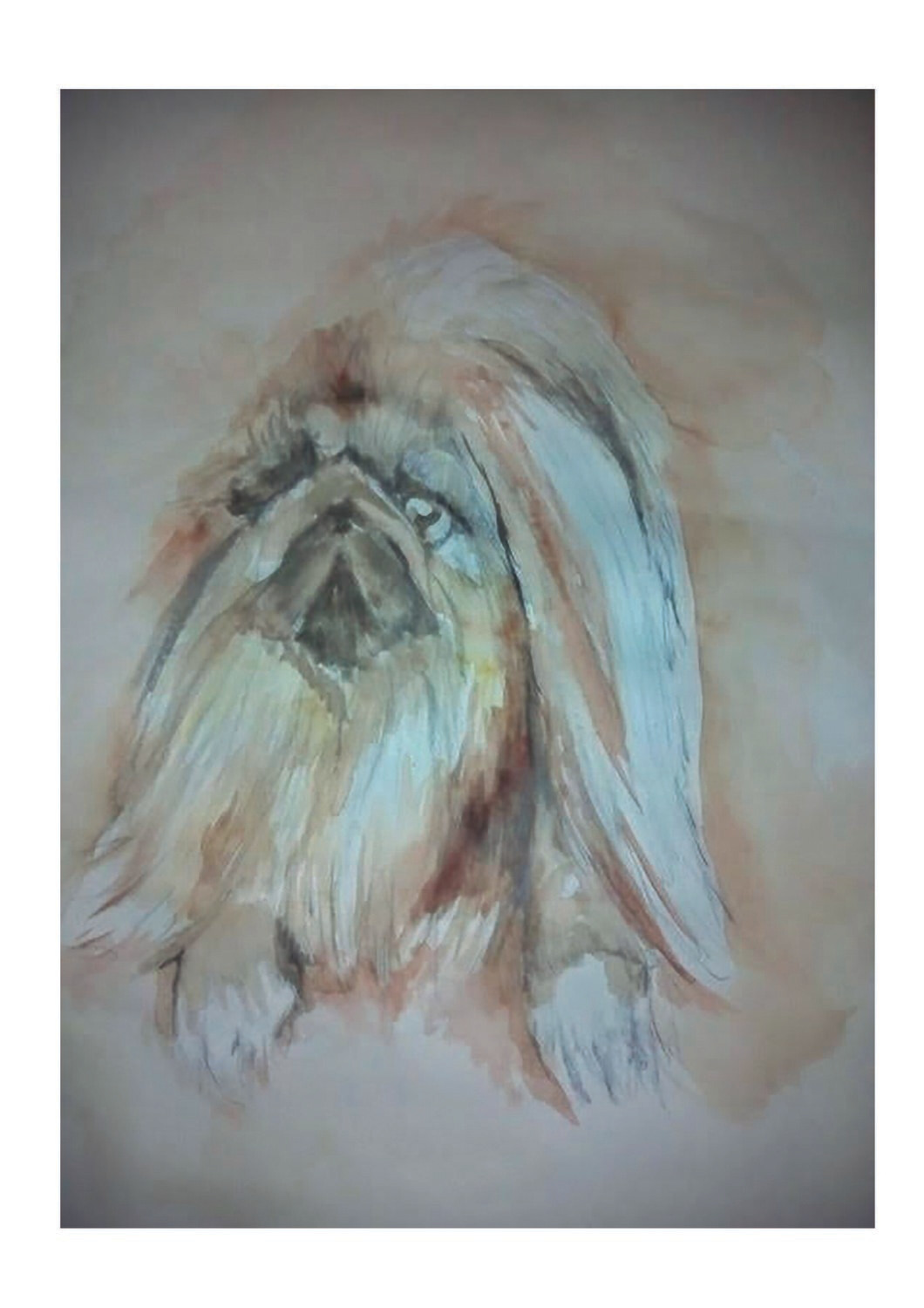 Perro Javier