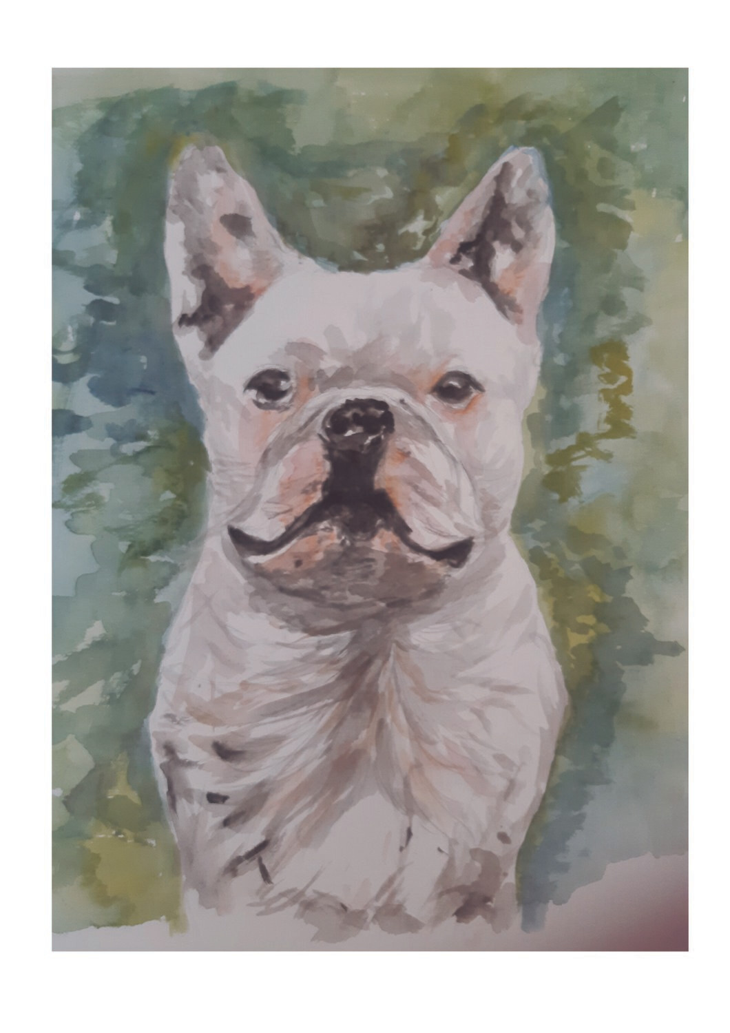 Perro de Mary