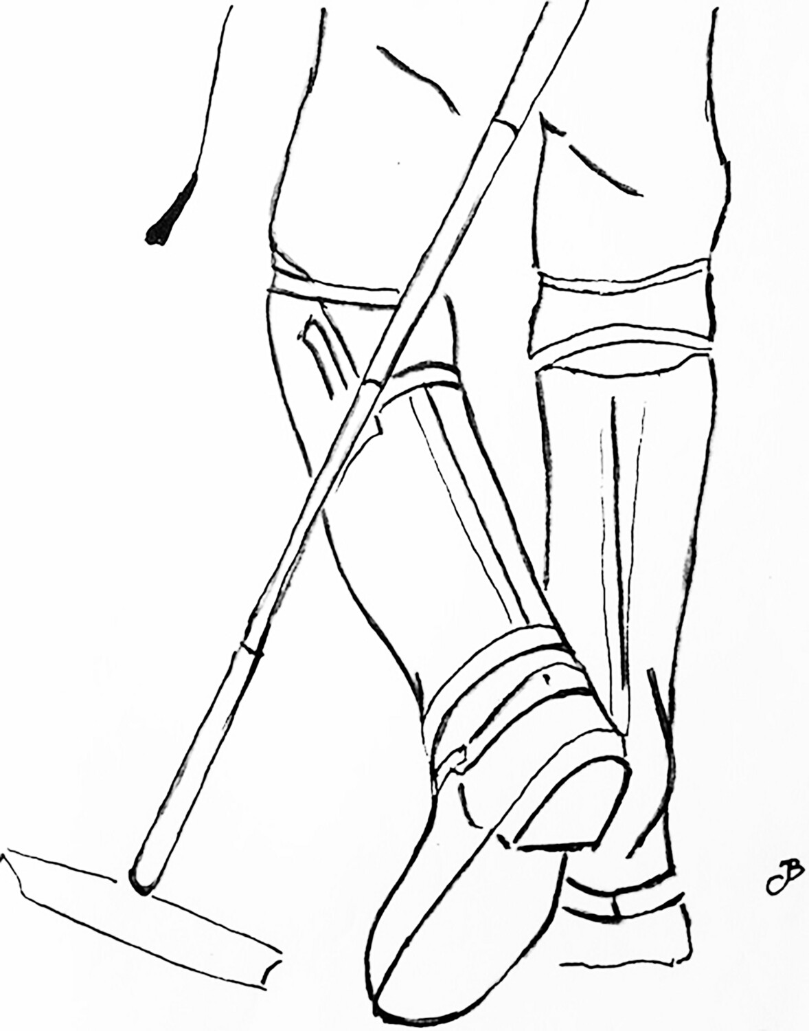 Viñetas de polo