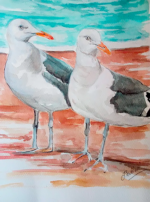 gaviotas
