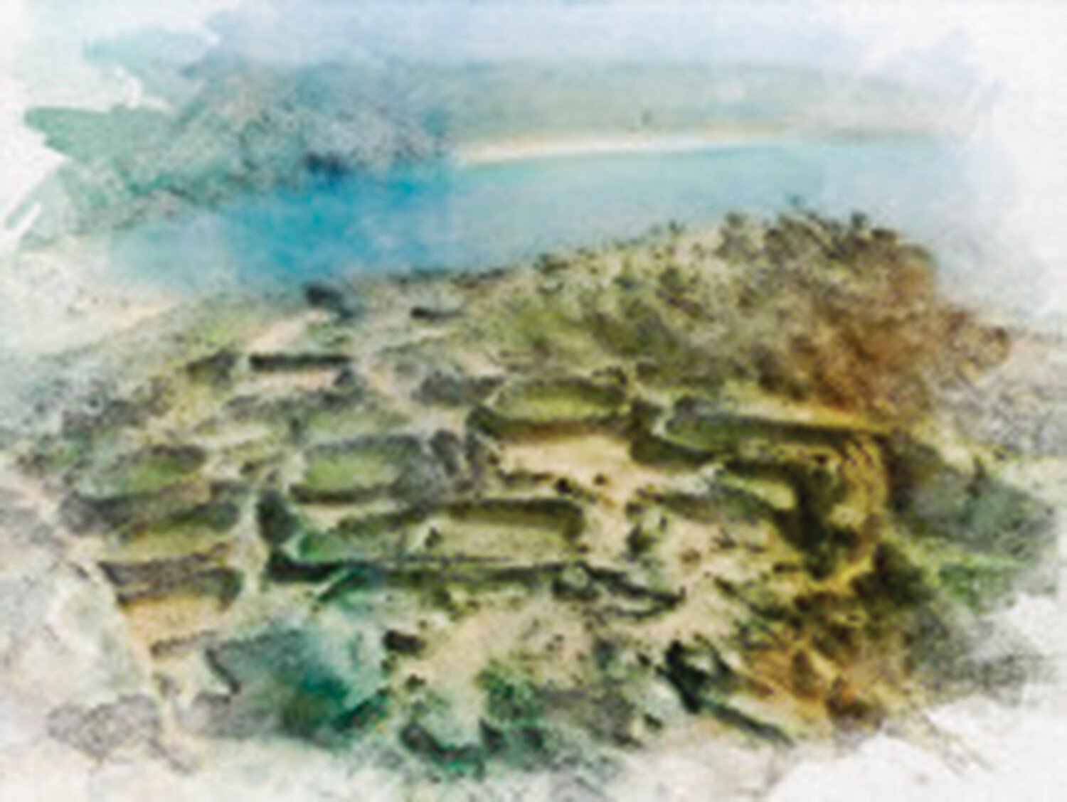 castro barona