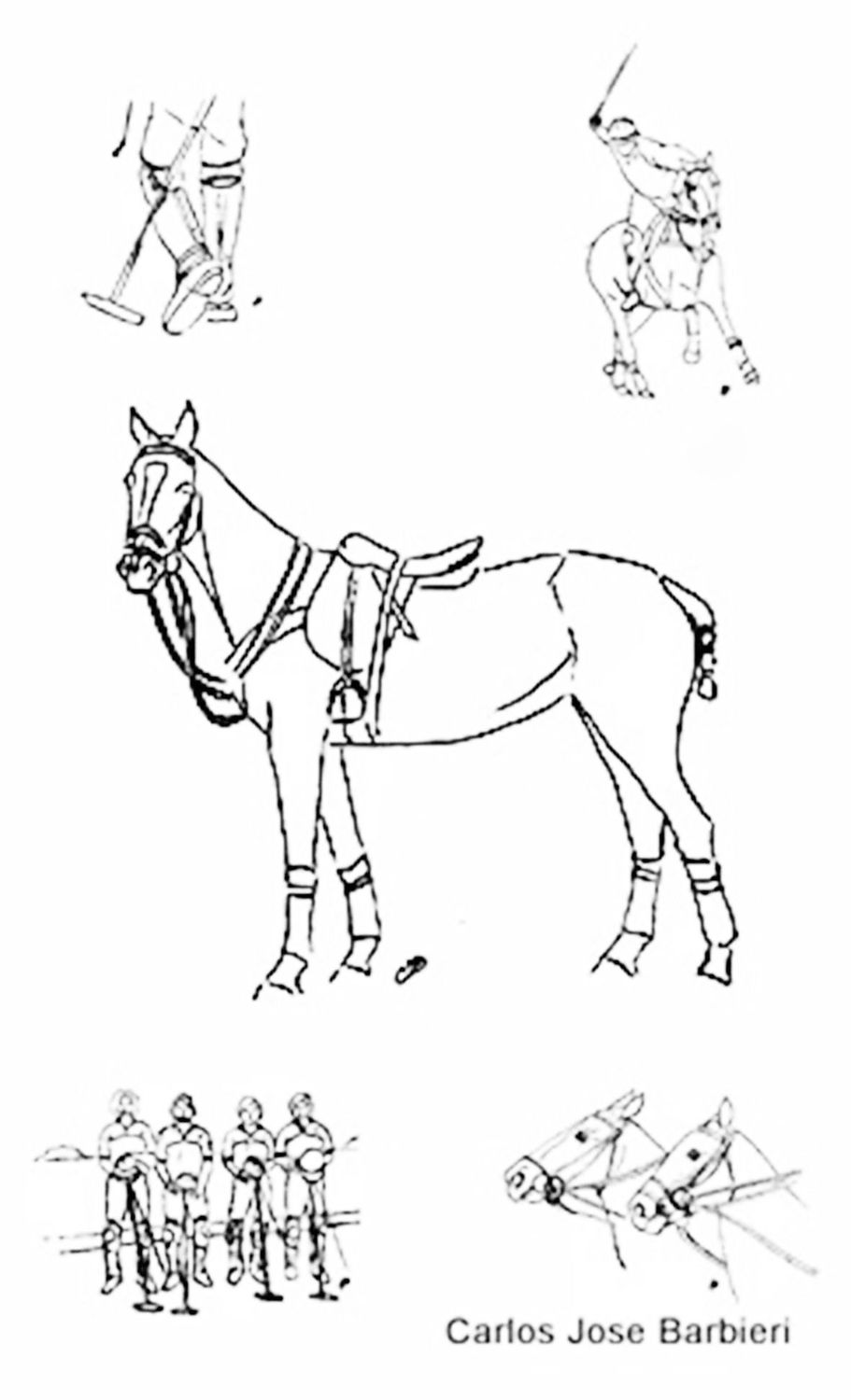 lamina 3