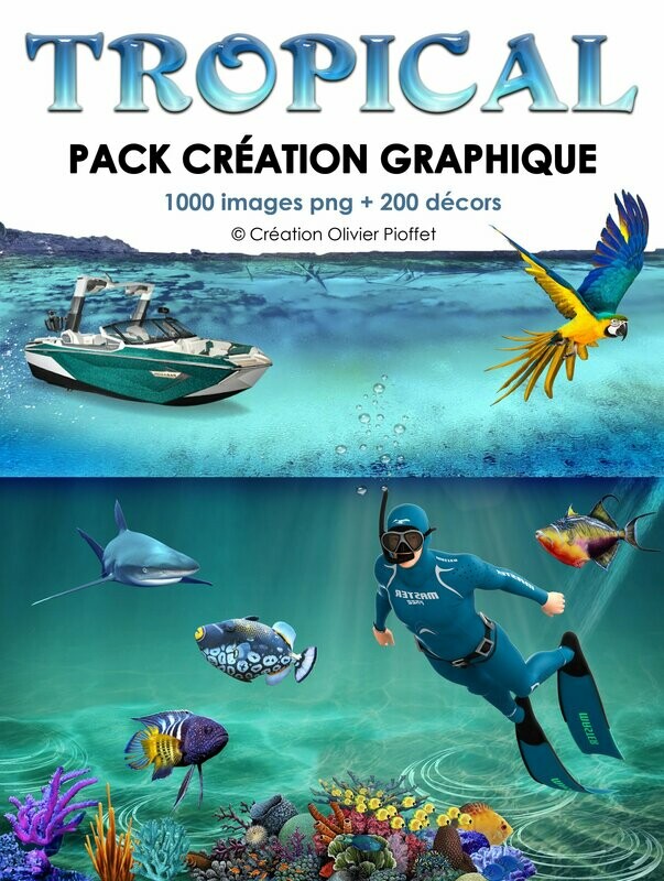 PC 24 - Création TROPICAL